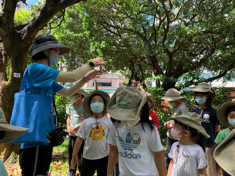 幼兒園：綠葉仙蹤(8/4-5)-圖片102