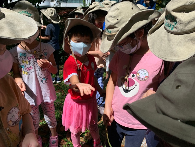幼兒園：綠葉仙蹤(8/4-5)-圖片108