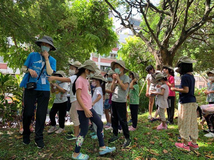 幼兒園：綠葉仙蹤(8/4-5)-圖片111