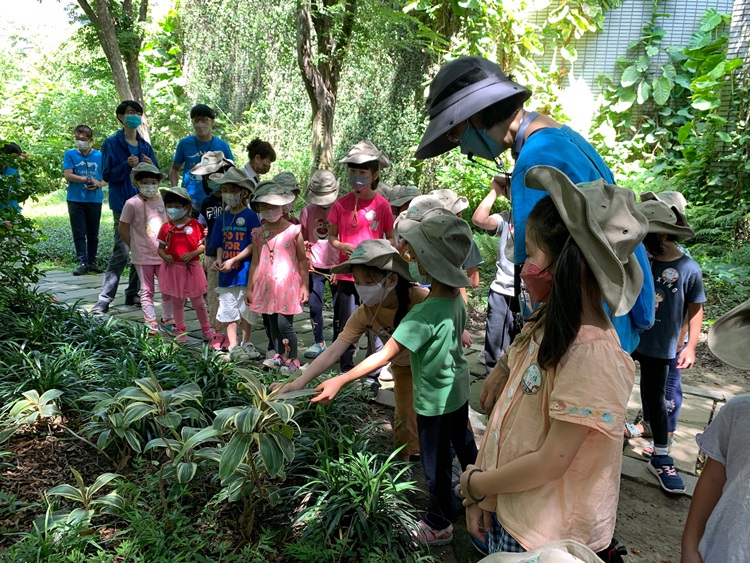 幼兒園：綠葉仙蹤(8/4-5)-圖片116
