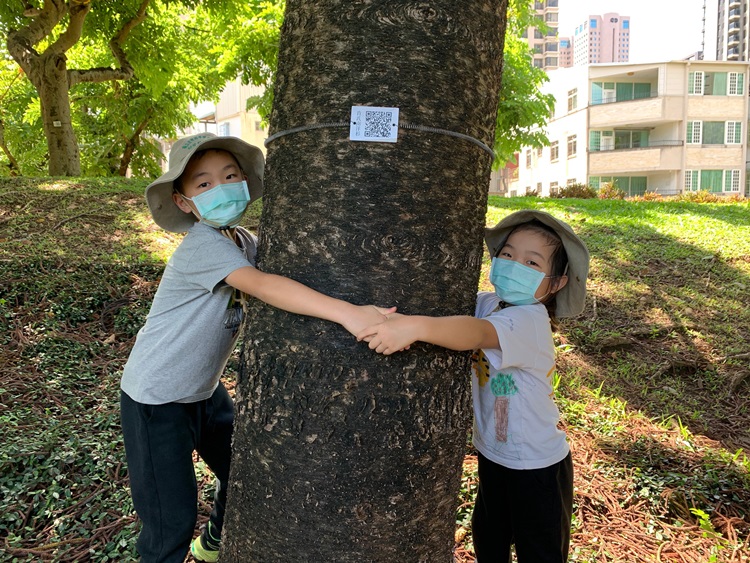 幼兒園：綠葉仙蹤(8/4-5)-圖片121