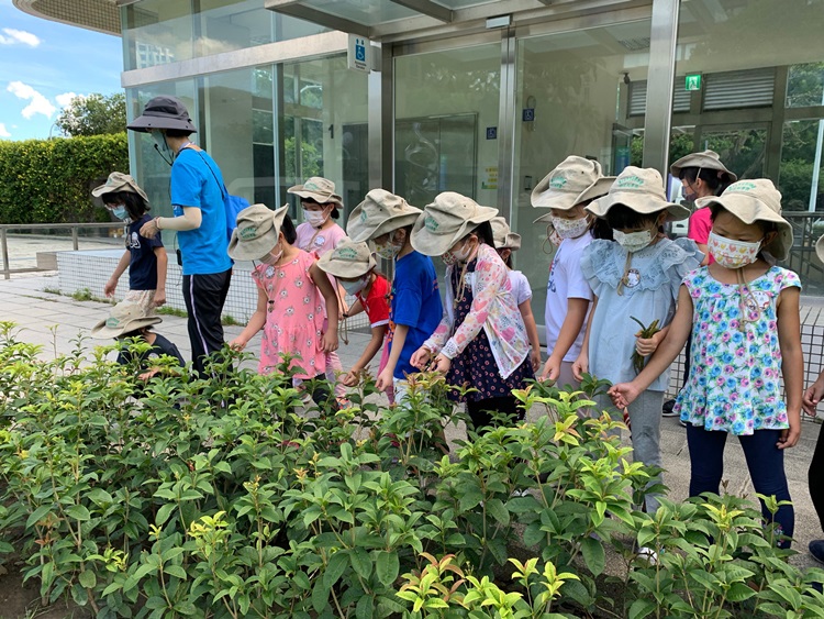 幼兒園：綠葉仙蹤(8/4-5)-圖片133