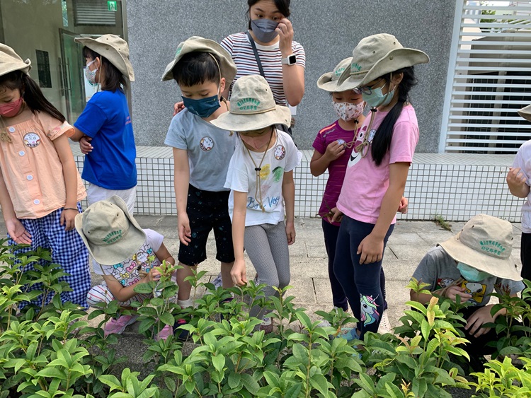 幼兒園：綠葉仙蹤(8/4-5)-圖片134