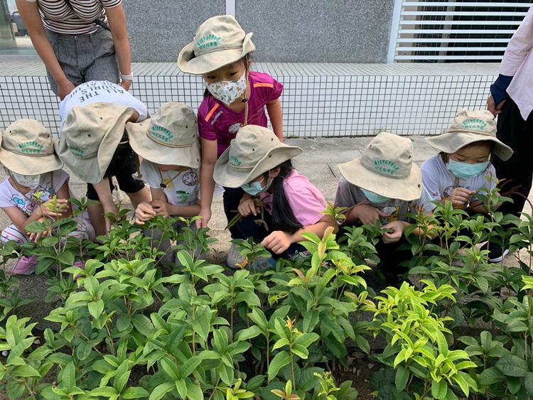 幼兒園：綠葉仙蹤(8/4-5)-圖片136