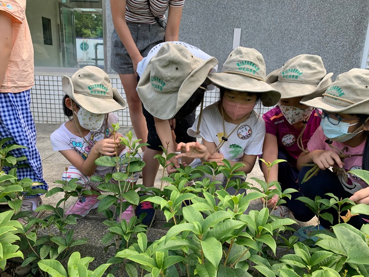 幼兒園：綠葉仙蹤(8/4-5)-圖片137