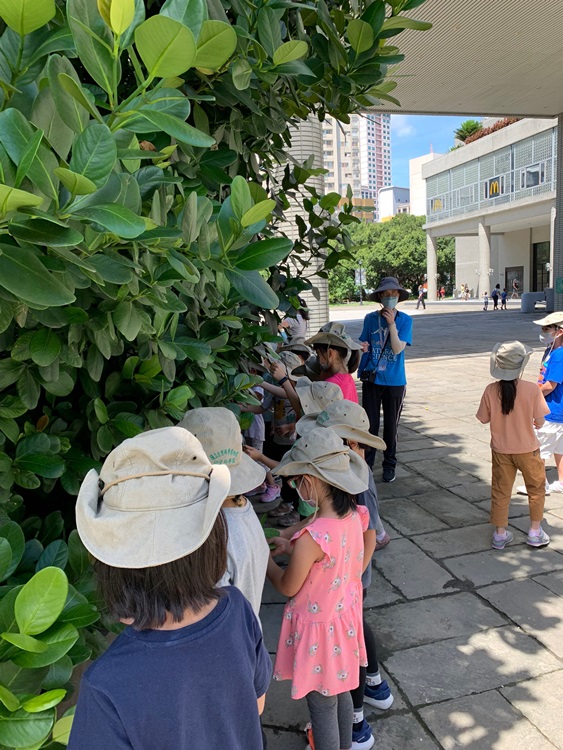 幼兒園：綠葉仙蹤(8/4-5)-圖片140