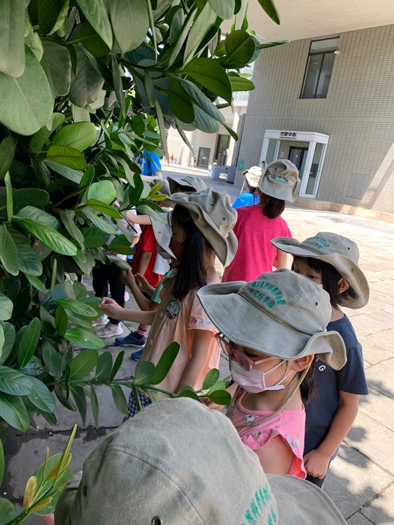 幼兒園：綠葉仙蹤(8/4-5)-圖片141