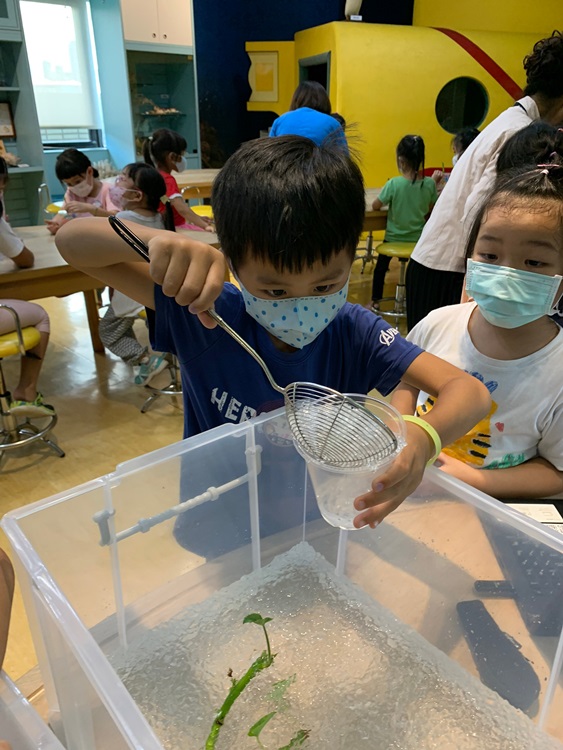 幼兒園：綠葉仙蹤(8/4-5)-圖片178