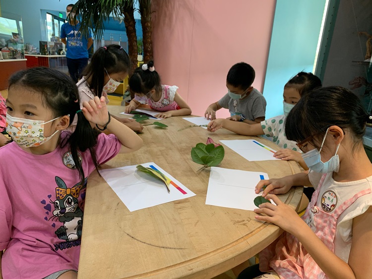 幼兒園：綠葉仙蹤(8/4-5)-圖片179