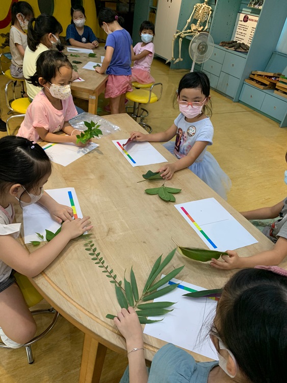 幼兒園：綠葉仙蹤(8/4-5)-圖片201