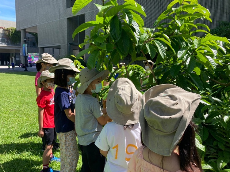 幼兒園：綠葉仙蹤(8/4-5)-圖片202