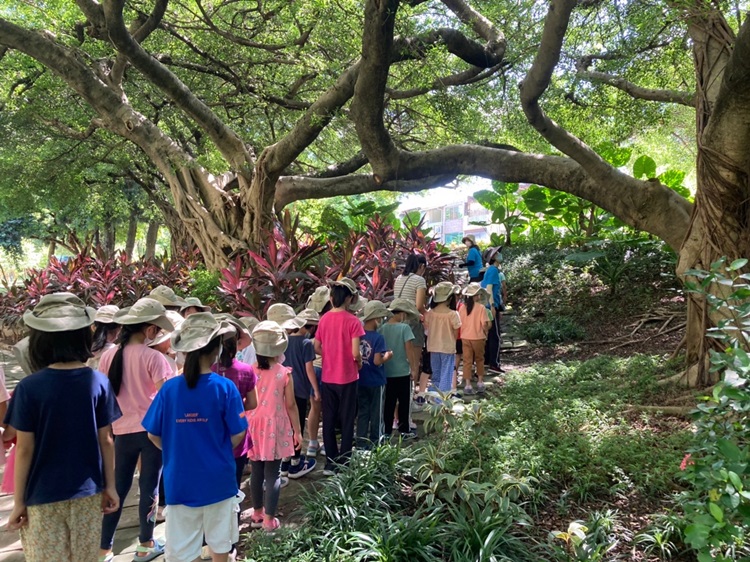 幼兒園：綠葉仙蹤(8/4-5)-圖片206