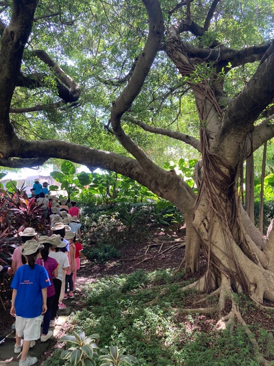幼兒園：綠葉仙蹤(8/4-5)-圖片207
