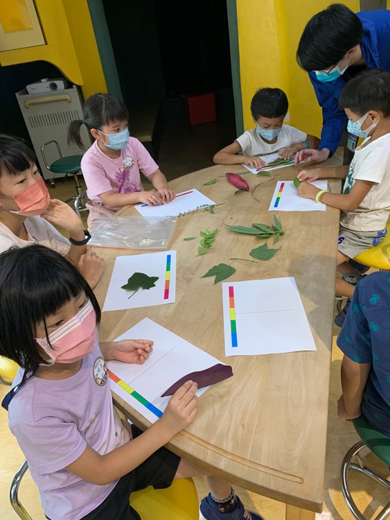 幼兒園：綠葉仙蹤(8/4-5)-圖片212