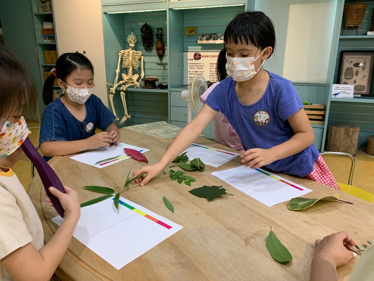 幼兒園：綠葉仙蹤(8/4-5)-圖片218