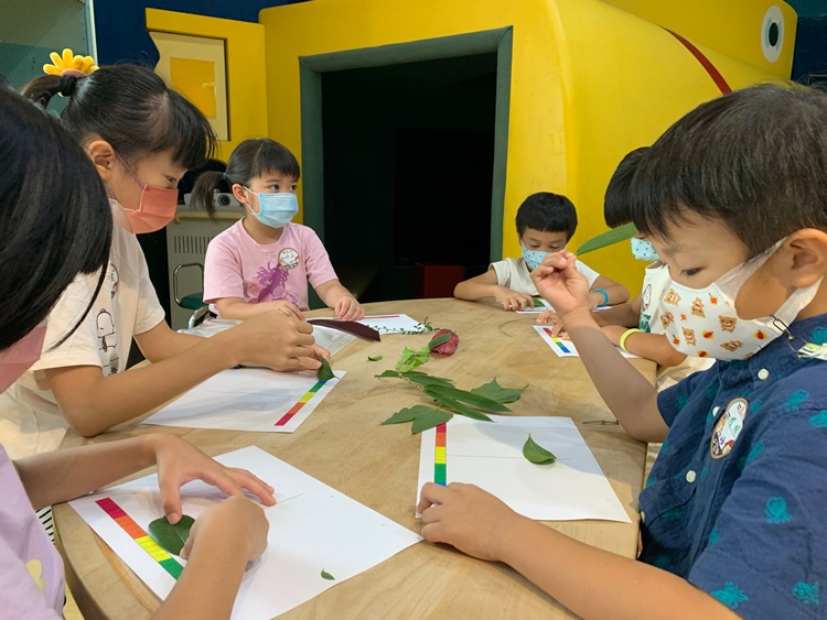 幼兒園：綠葉仙蹤(8/4-5)-圖片220
