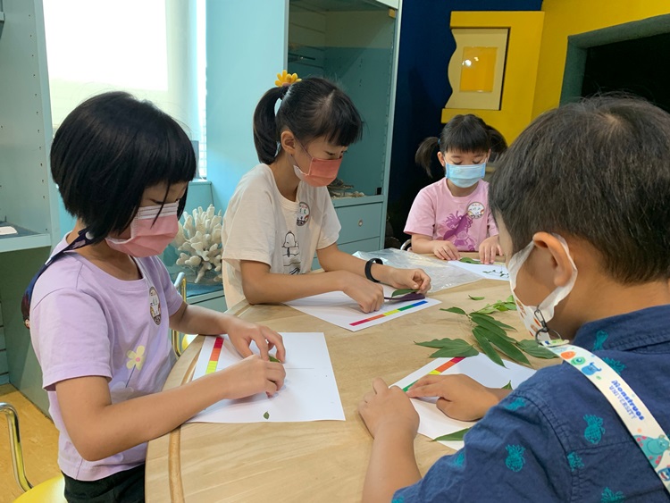 幼兒園：綠葉仙蹤(8/4-5)-圖片221
