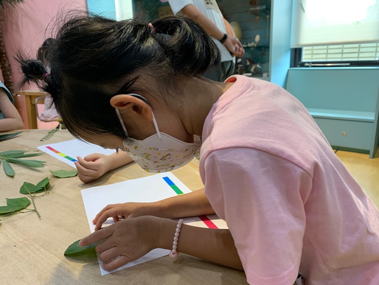 幼兒園：綠葉仙蹤(8/4-5)-圖片225