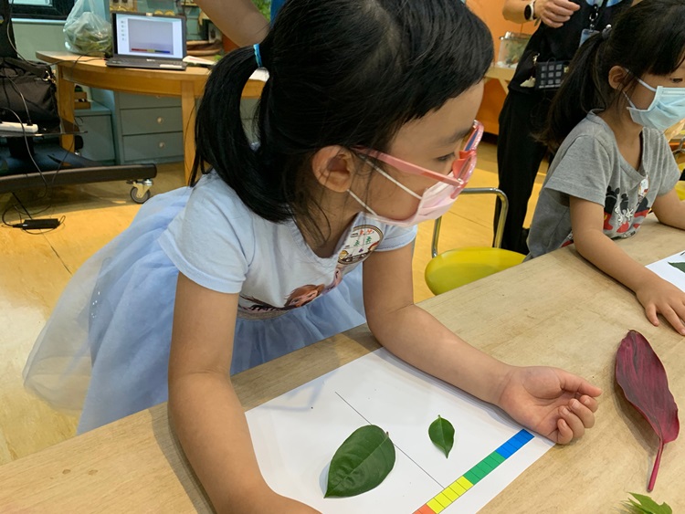 幼兒園：綠葉仙蹤(8/4-5)-圖片226