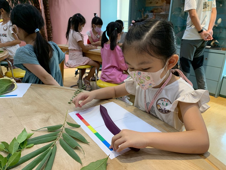 幼兒園：綠葉仙蹤(8/4-5)-圖片227