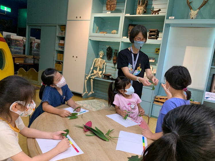 幼兒園：綠葉仙蹤(8/4-5)-圖片230