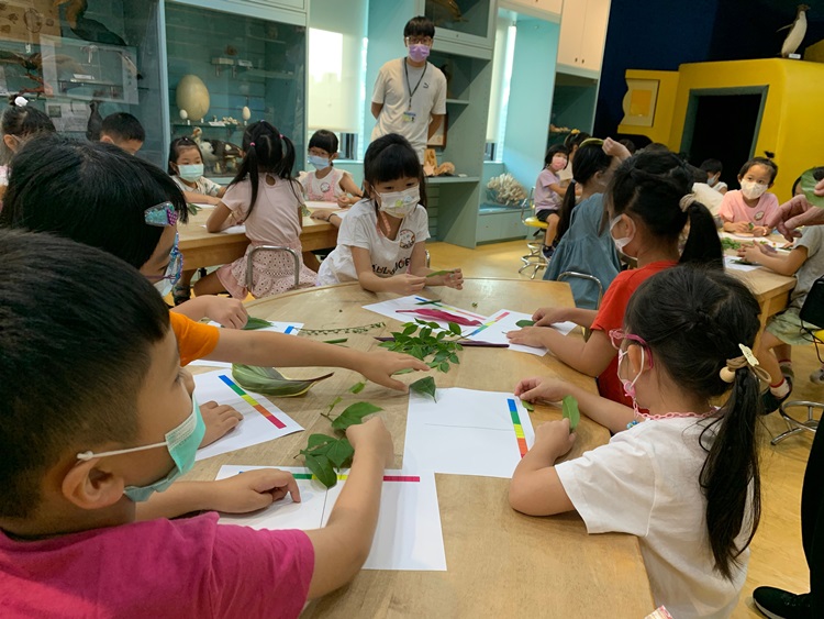幼兒園：綠葉仙蹤(8/4-5)-圖片232
