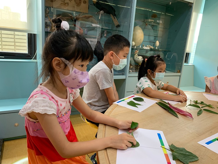 幼兒園：綠葉仙蹤(8/4-5)-圖片235