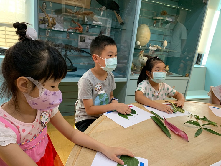 幼兒園：綠葉仙蹤(8/4-5)-圖片237