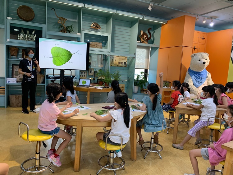 幼兒園：綠葉仙蹤(8/4-5)-圖片241