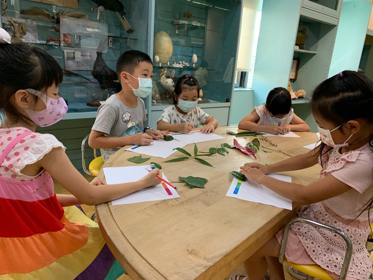幼兒園：綠葉仙蹤(8/4-5)-圖片244
