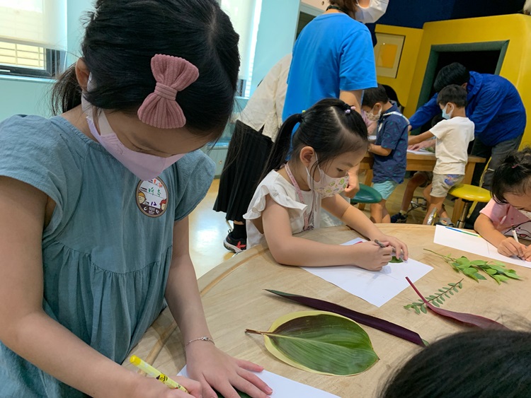 幼兒園：綠葉仙蹤(8/4-5)-圖片247