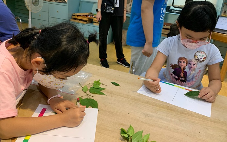 幼兒園：綠葉仙蹤(8/4-5)-圖片248