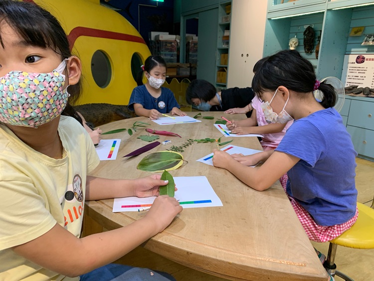 幼兒園：綠葉仙蹤(8/4-5)-圖片251