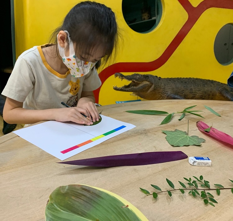 幼兒園：綠葉仙蹤(8/4-5)-圖片252