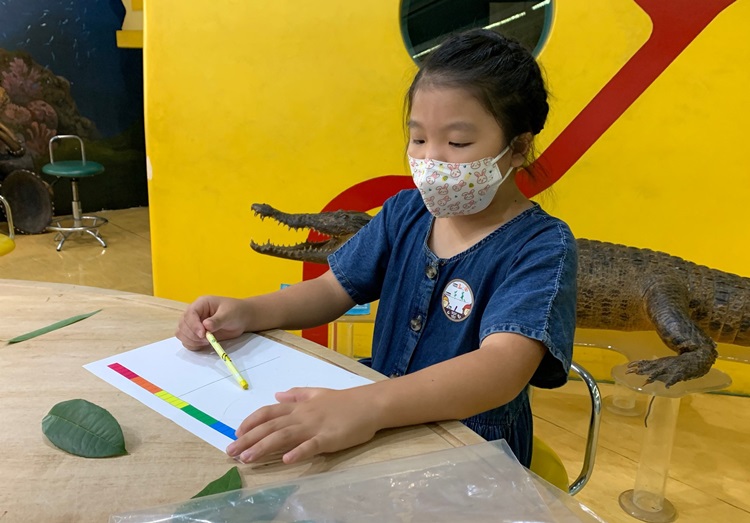幼兒園：綠葉仙蹤(8/4-5)-圖片253