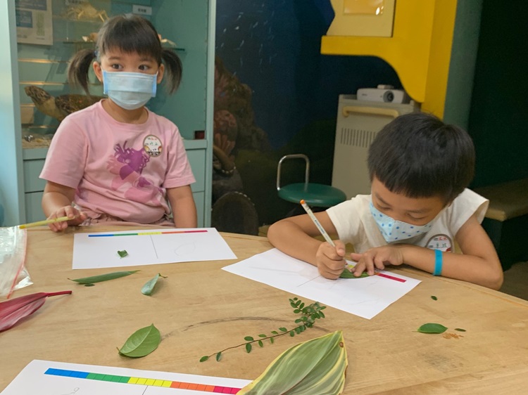 幼兒園：綠葉仙蹤(8/4-5)-圖片256