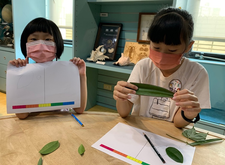 幼兒園：綠葉仙蹤(8/4-5)-圖片257