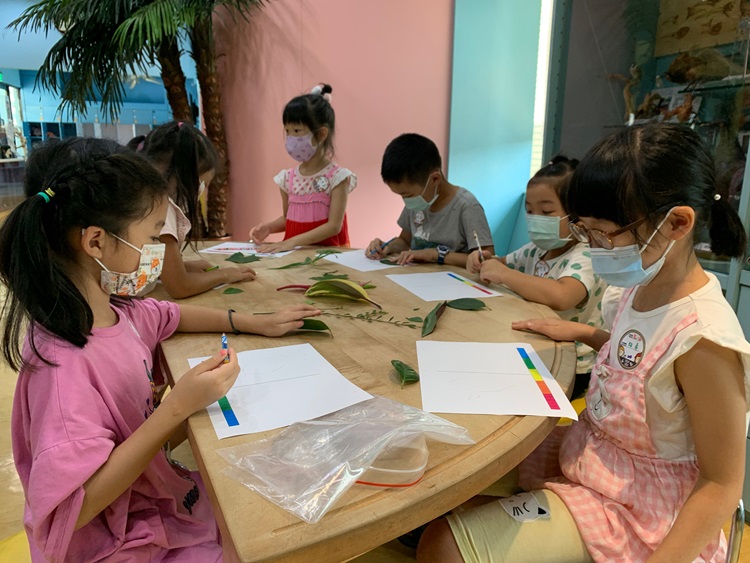 幼兒園：綠葉仙蹤(8/4-5)-圖片258