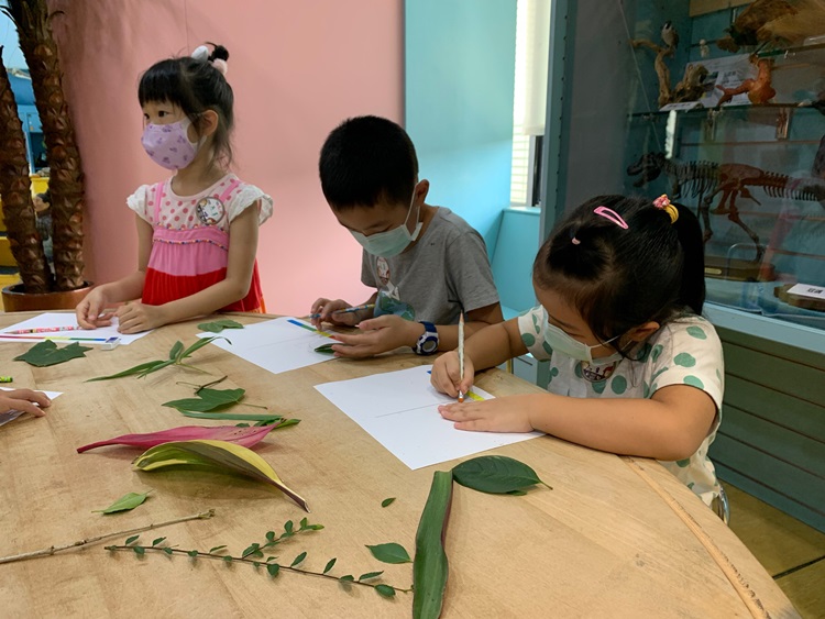 幼兒園：綠葉仙蹤(8/4-5)-圖片259