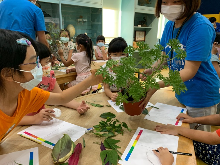 幼兒園：綠葉仙蹤(8/4-5)-圖片260
