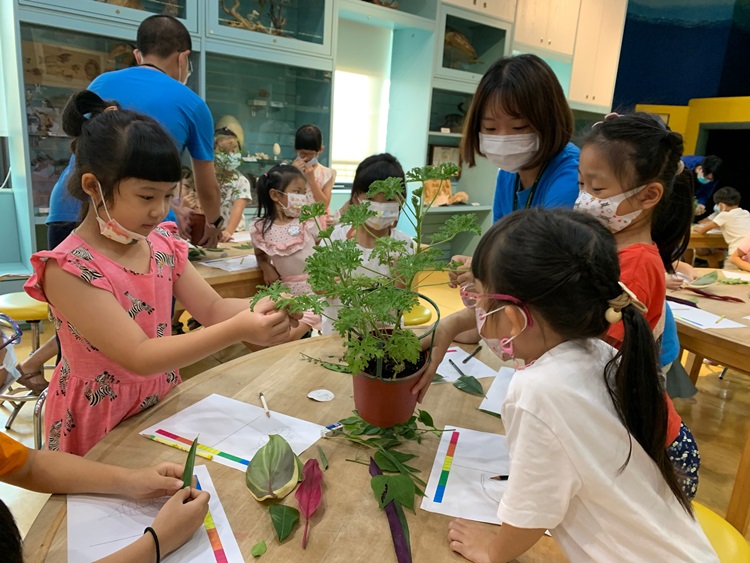 幼兒園：綠葉仙蹤(8/4-5)-圖片262