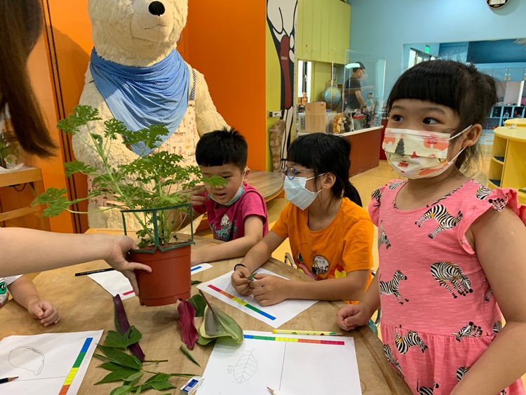 幼兒園：綠葉仙蹤(8/4-5)-圖片263