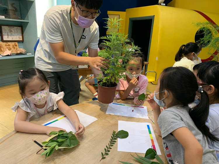 幼兒園：綠葉仙蹤(8/4-5)-圖片264
