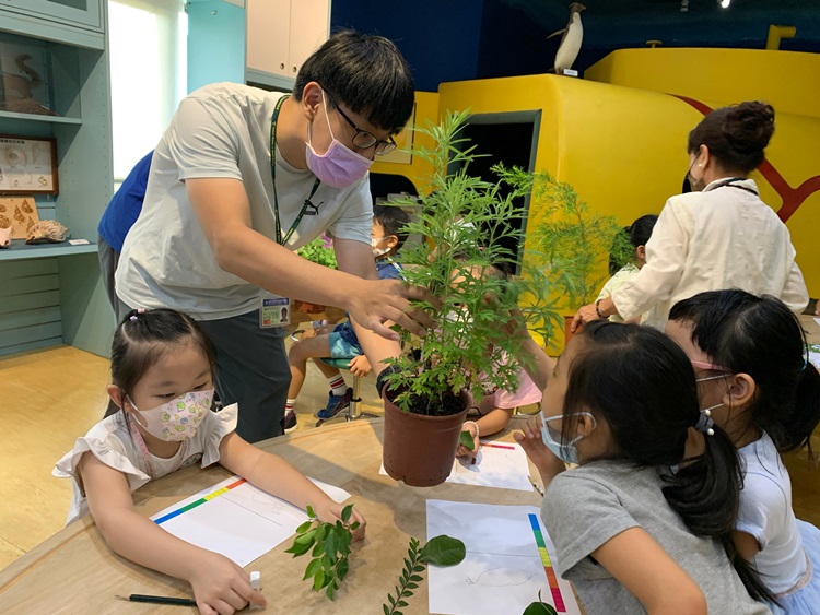 幼兒園：綠葉仙蹤(8/4-5)-圖片265