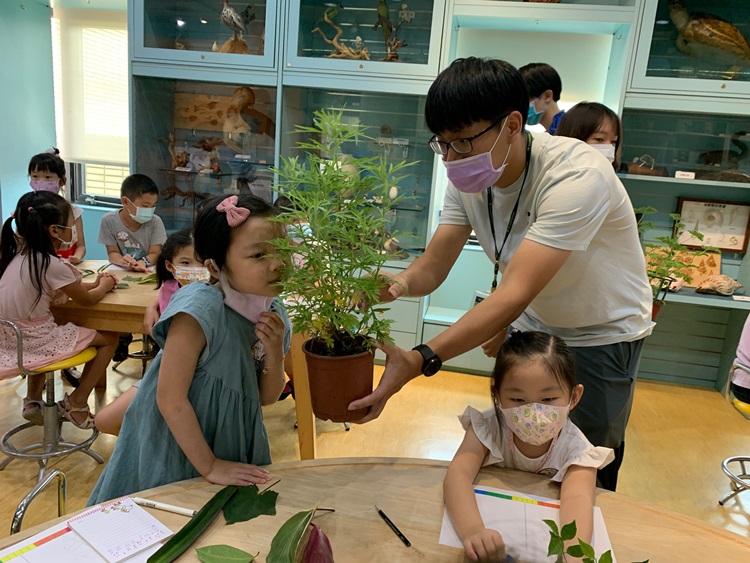 幼兒園：綠葉仙蹤(8/4-5)-圖片266