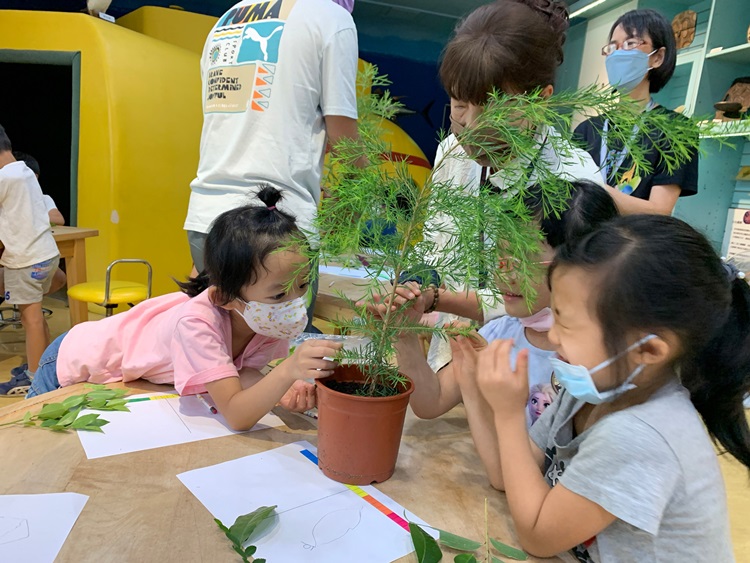 幼兒園：綠葉仙蹤(8/4-5)-圖片267