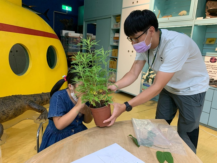 幼兒園：綠葉仙蹤(8/4-5)-圖片270