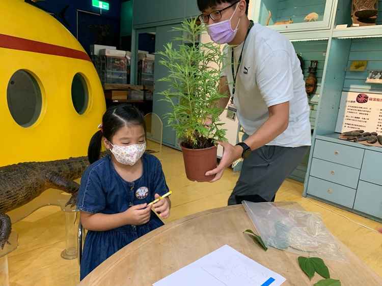 幼兒園：綠葉仙蹤(8/4-5)-圖片271