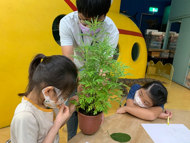 幼兒園：綠葉仙蹤(8/4-5)-圖片273
