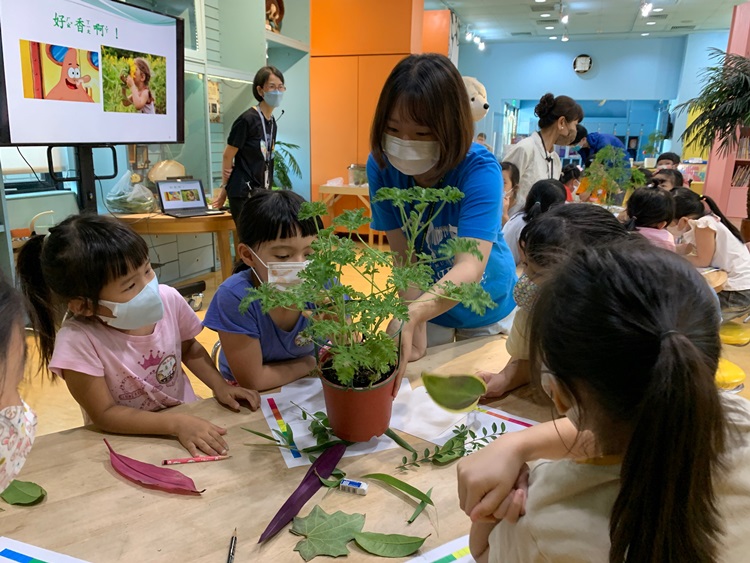 幼兒園：綠葉仙蹤(8/4-5)-圖片274